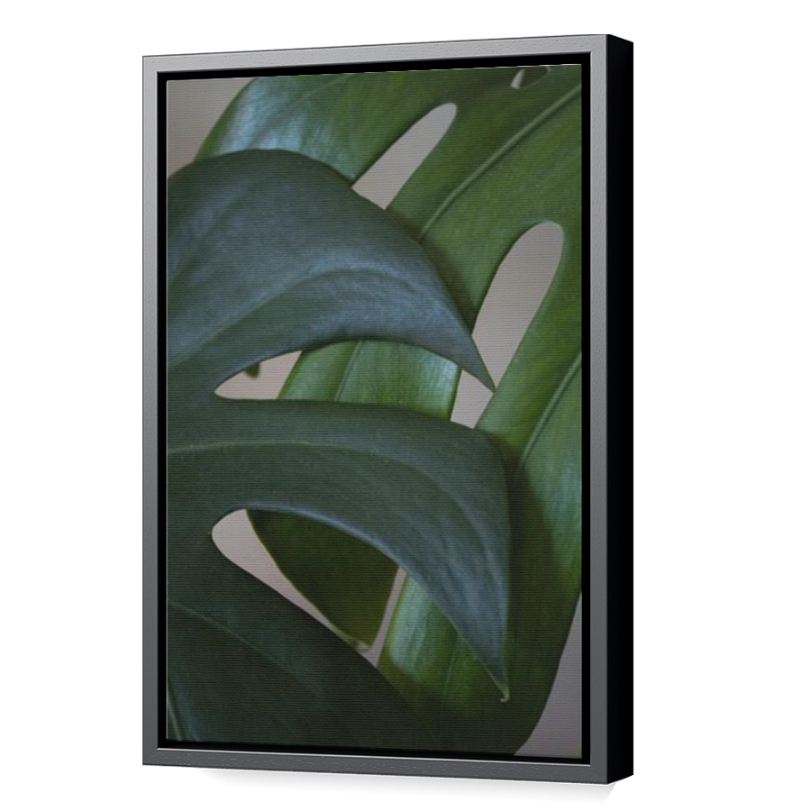 Thumbnail for Canvas - Black Floating Frame