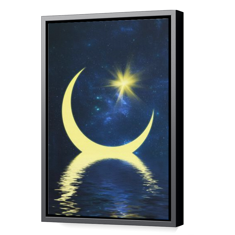 Thumbnail for Canvas - Black Floating Frame