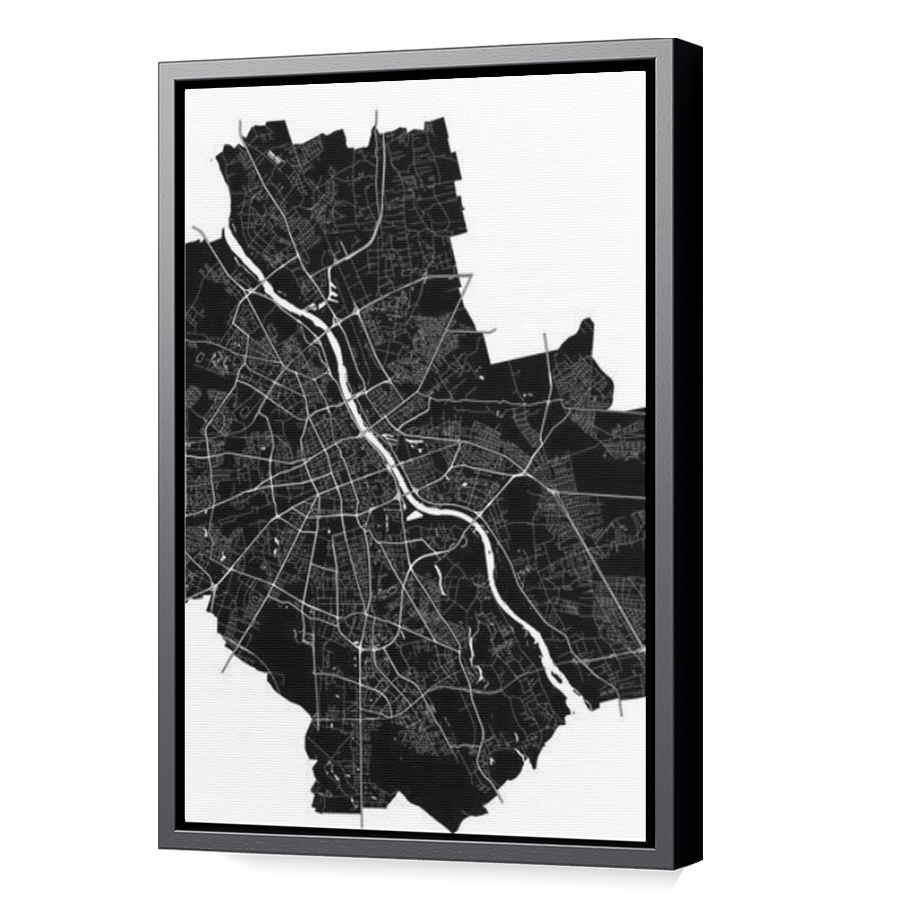 Thumbnail for Canvas - Black Floating Frame