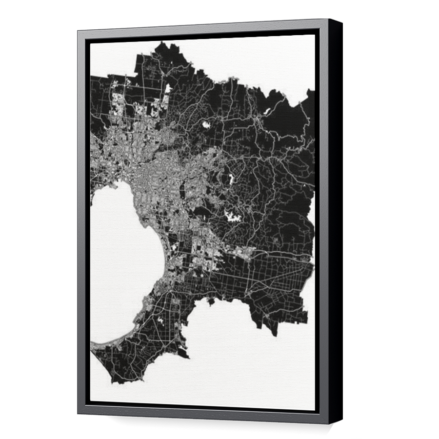 Thumbnail for Canvas - Black Floating Frame