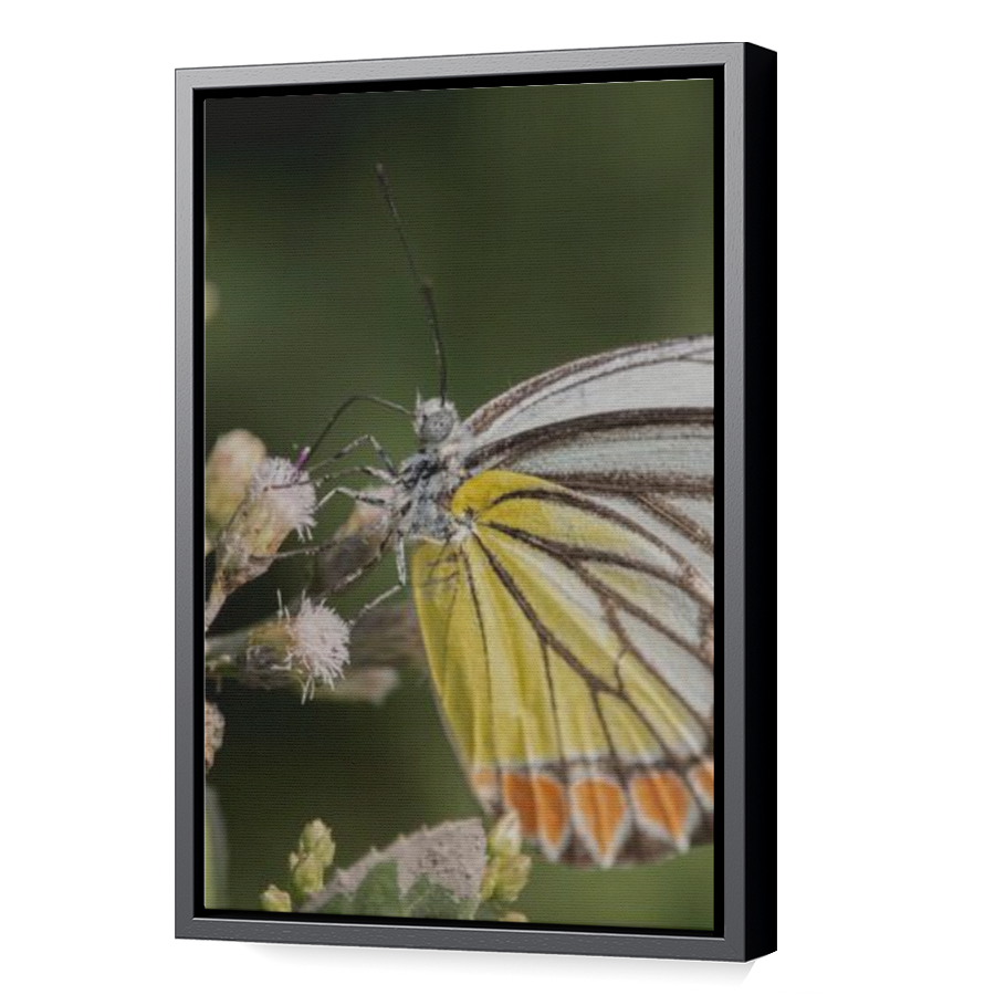 Thumbnail for Canvas - Black Floating Frame