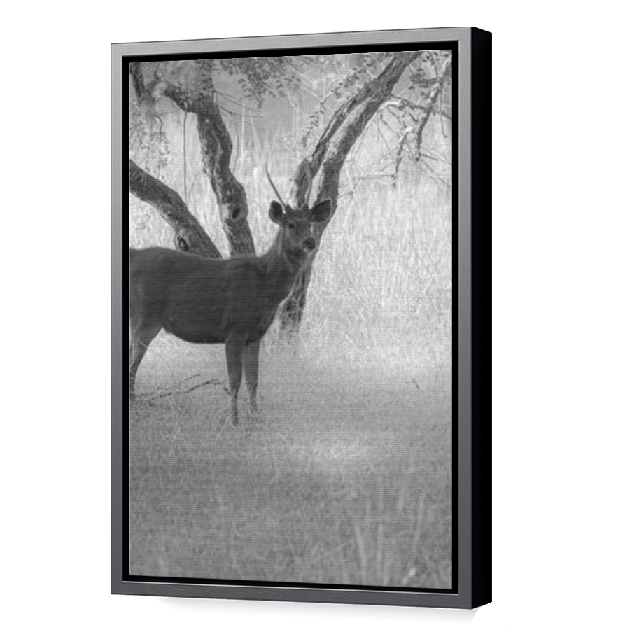 Thumbnail for Canvas - Black Floating Frame