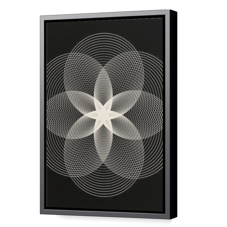 Thumbnail for Canvas - Black Floating Frame
