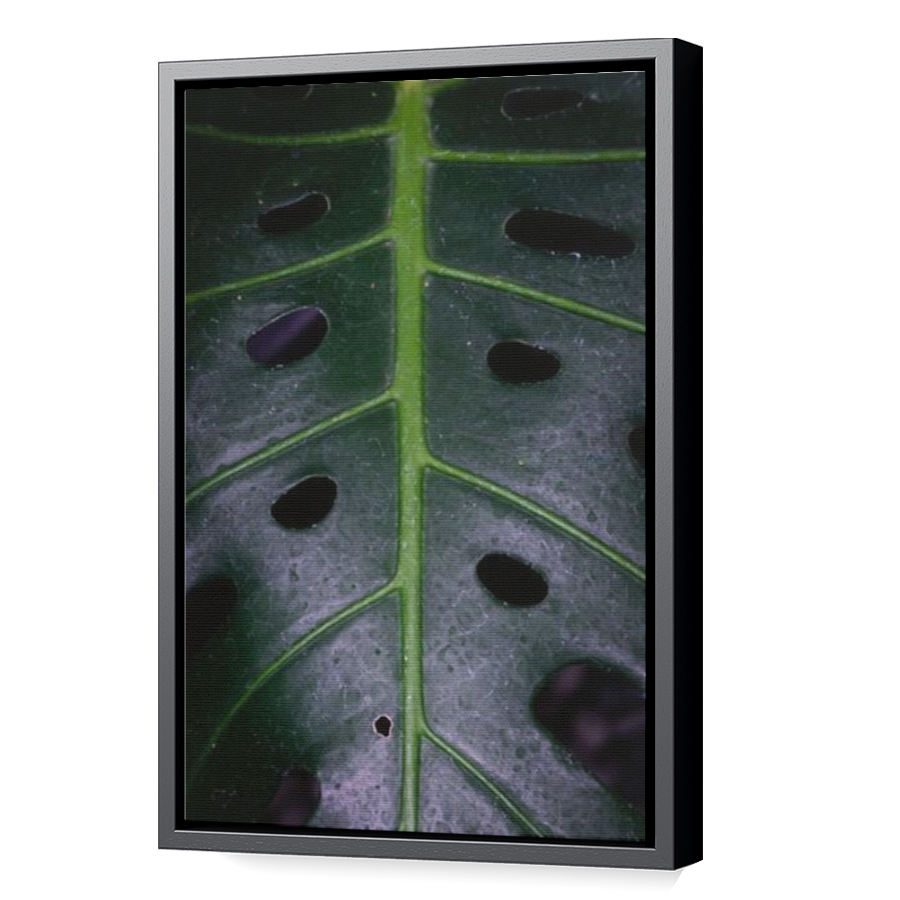 Thumbnail for Canvas - Black Floating Frame