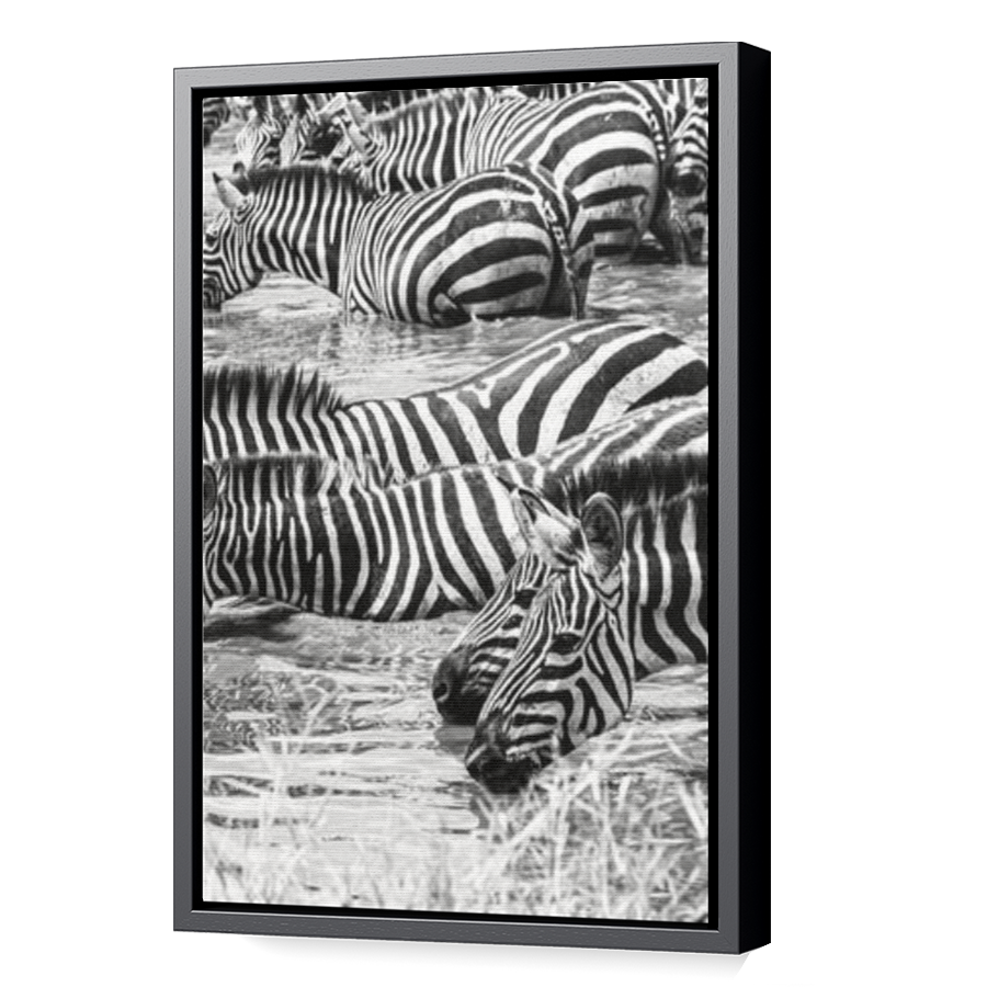 Thumbnail for Canvas - Black Floating Frame