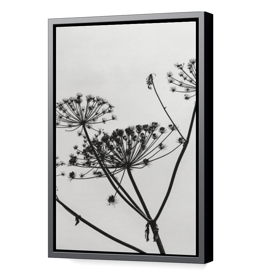 Thumbnail for Canvas - Black Floating Frame