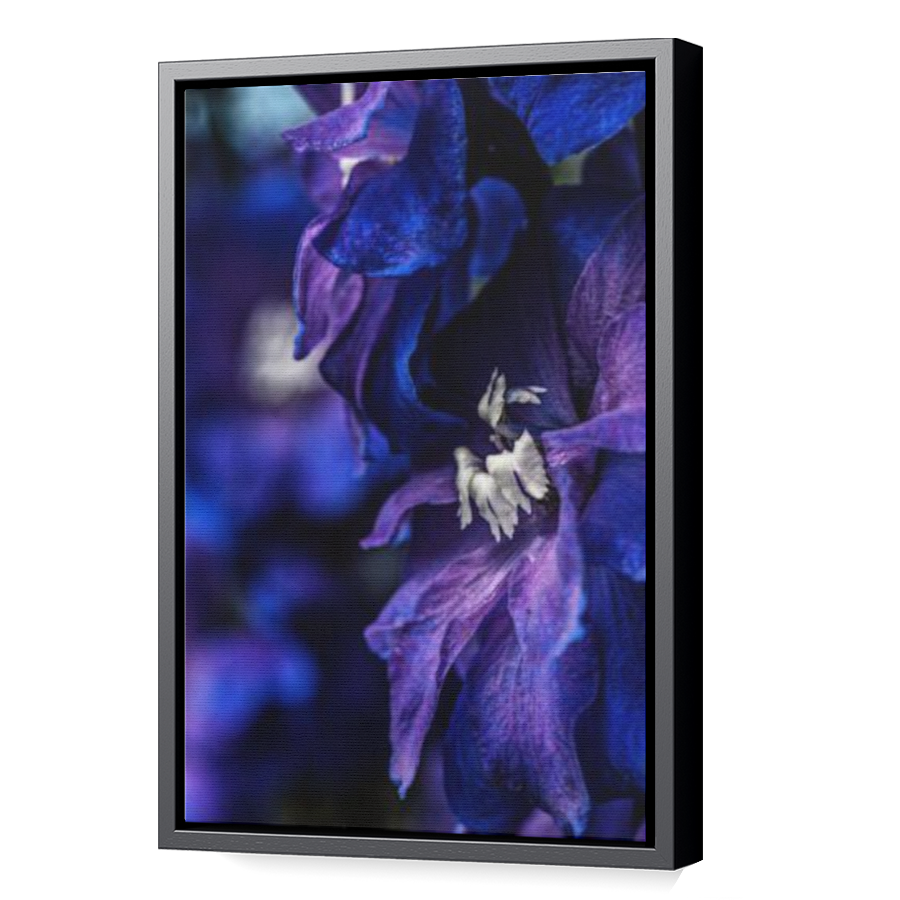Thumbnail for Canvas - Black Floating Frame