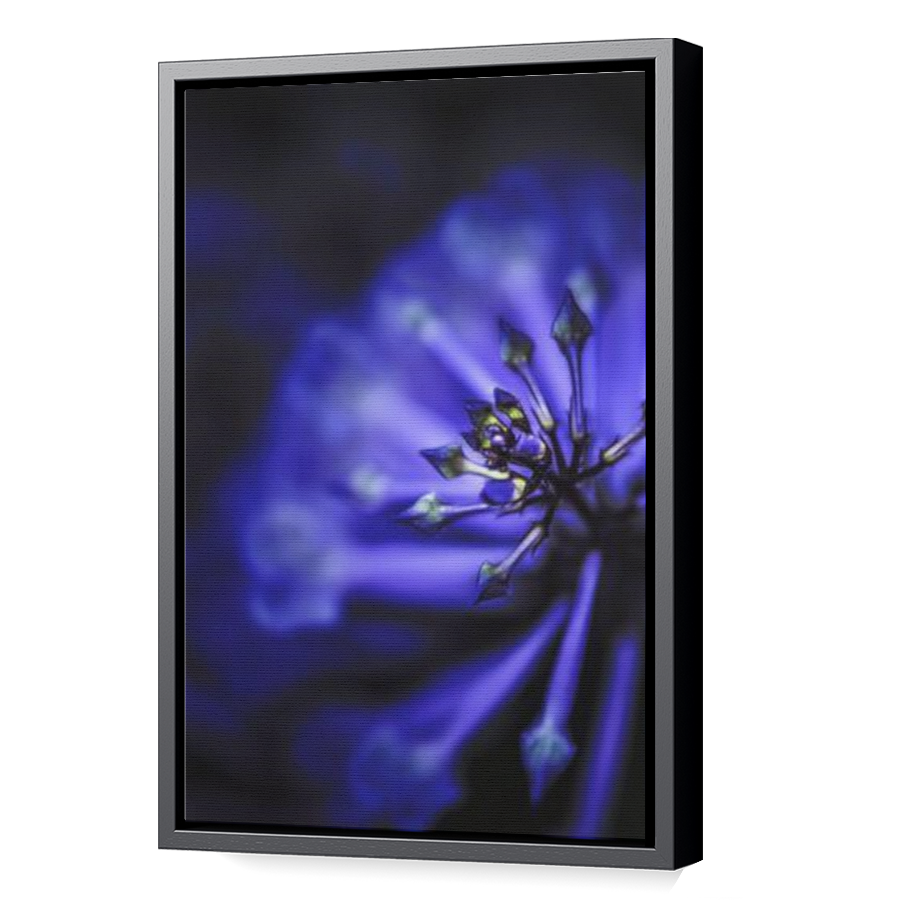 Thumbnail for Canvas - Black Floating Frame