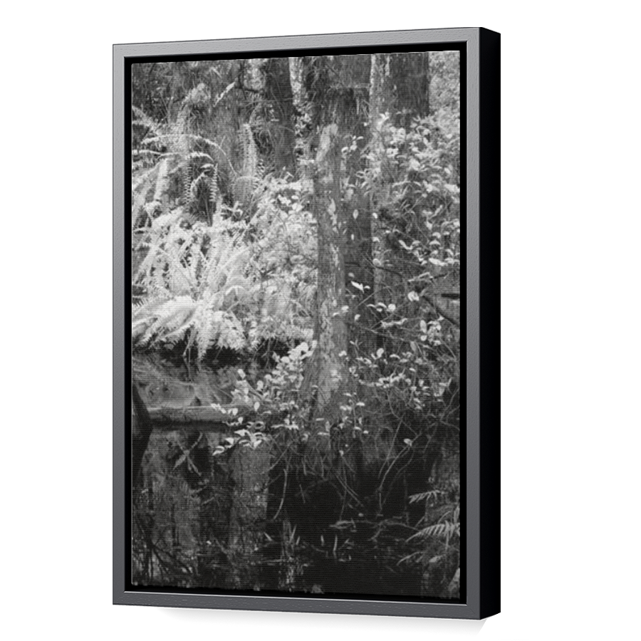 Thumbnail for Canvas - Black Floating Frame