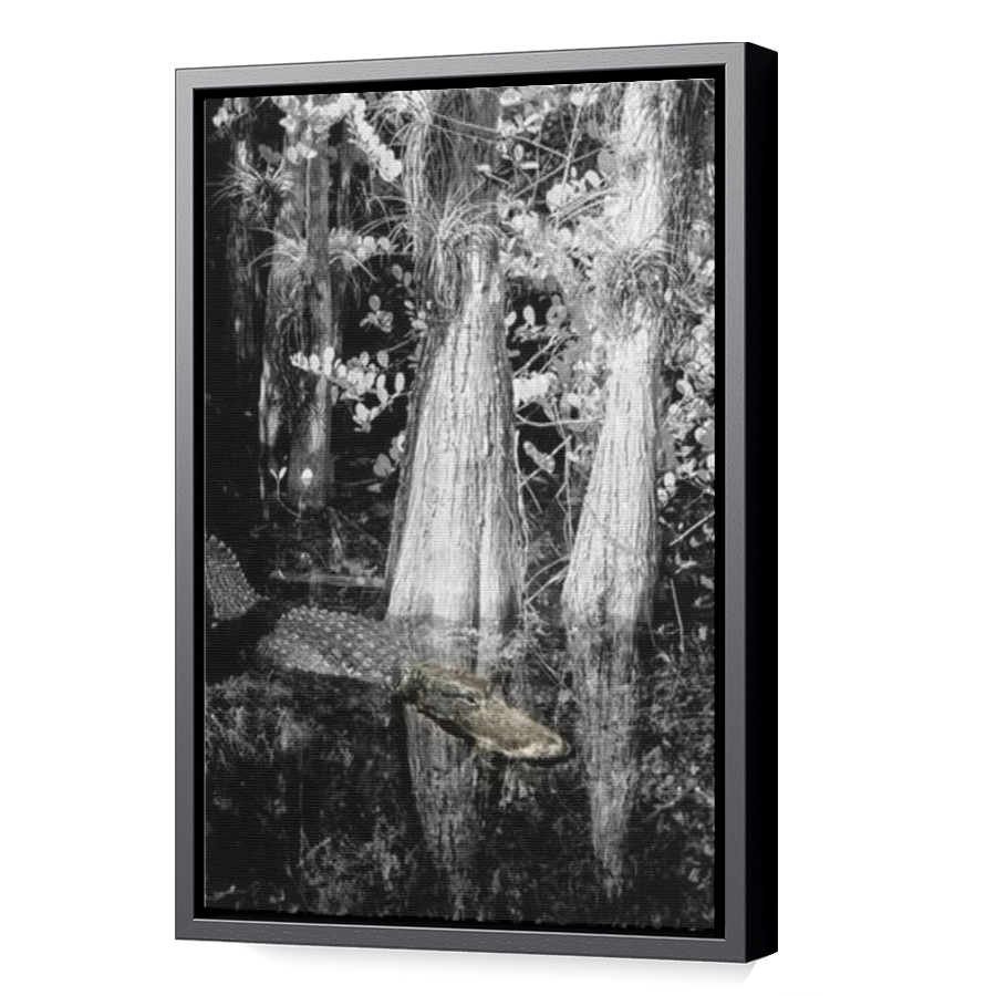 Thumbnail for Canvas - Black Floating Frame