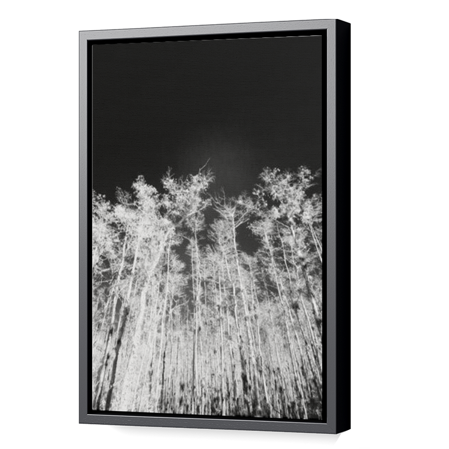 Thumbnail for Canvas - Black Floating Frame