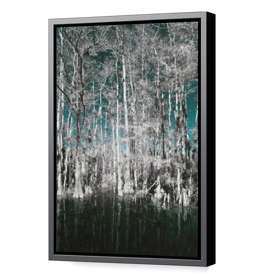Thumbnail for Canvas - Black Floating Frame