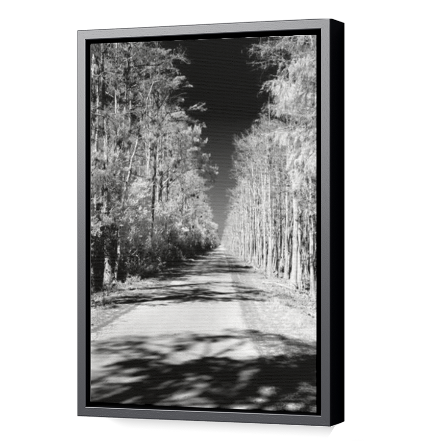 Thumbnail for Canvas - Black Floating Frame