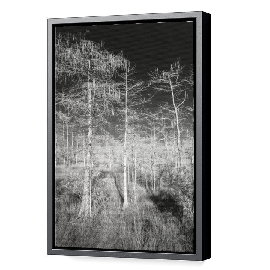 Thumbnail for Canvas - Black Floating Frame