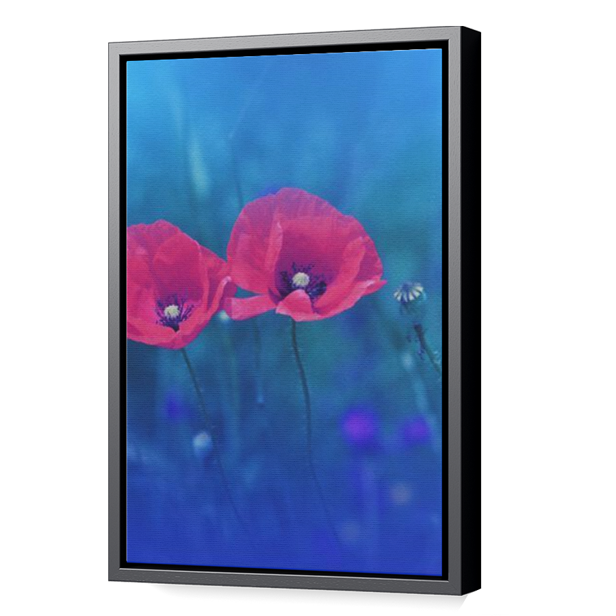 Thumbnail for Canvas - Black Floating Frame