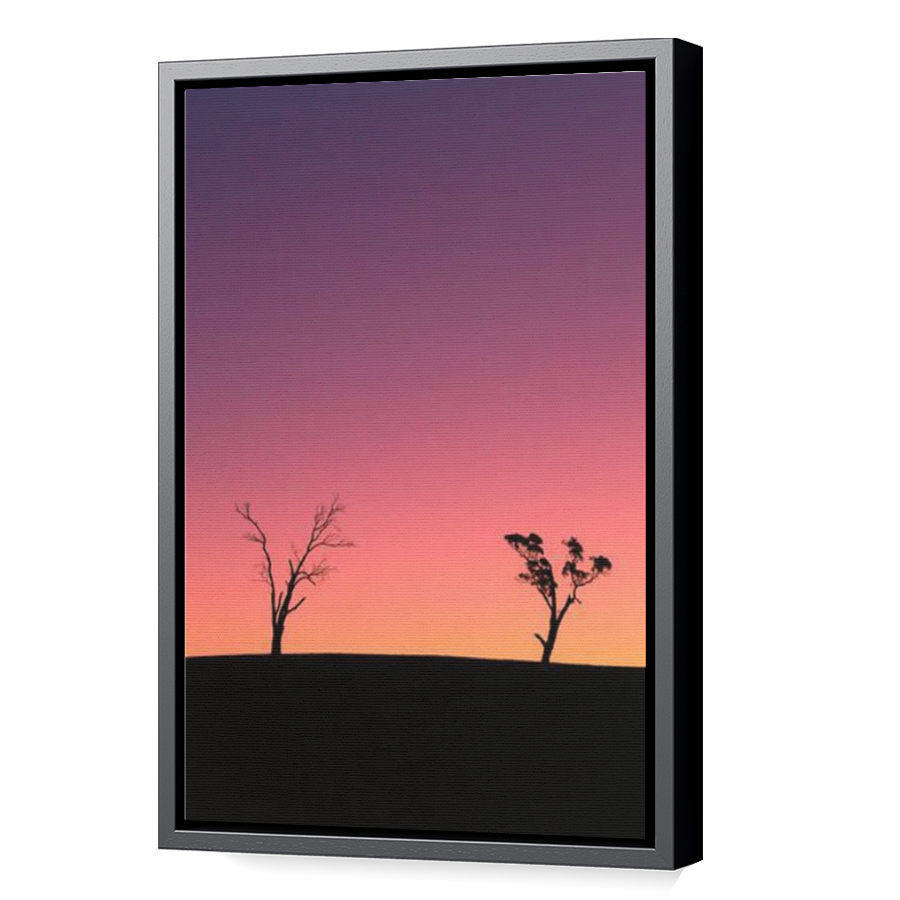 Thumbnail for Canvas - Black Floating Frame