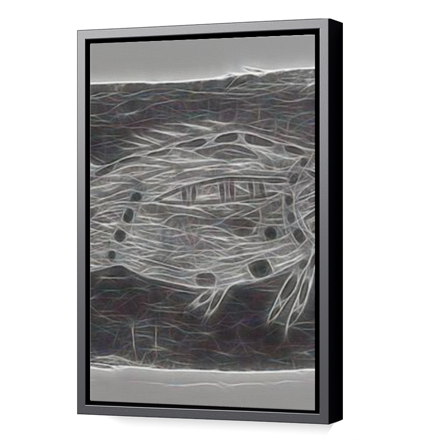Thumbnail for Canvas - Black Floating Frame