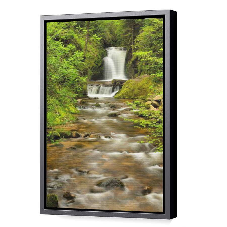 Thumbnail for Canvas - Black Floating Frame
