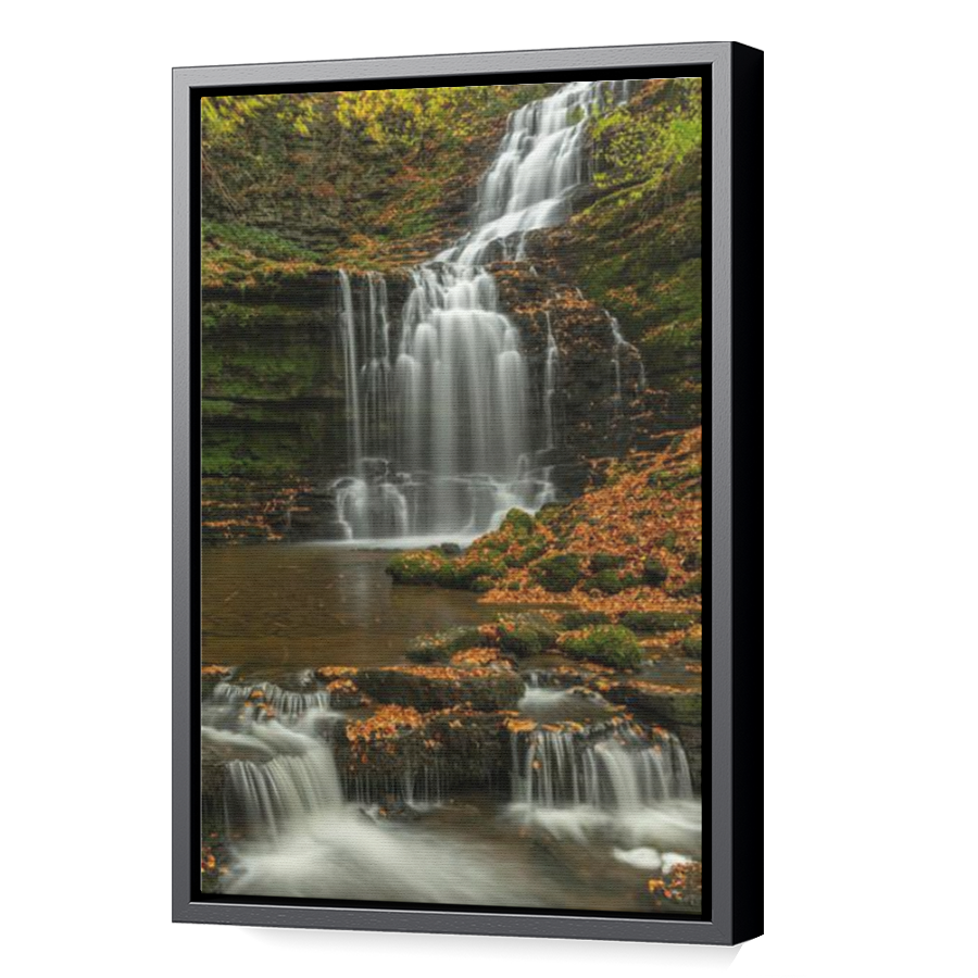 Thumbnail for Canvas - Black Floating Frame