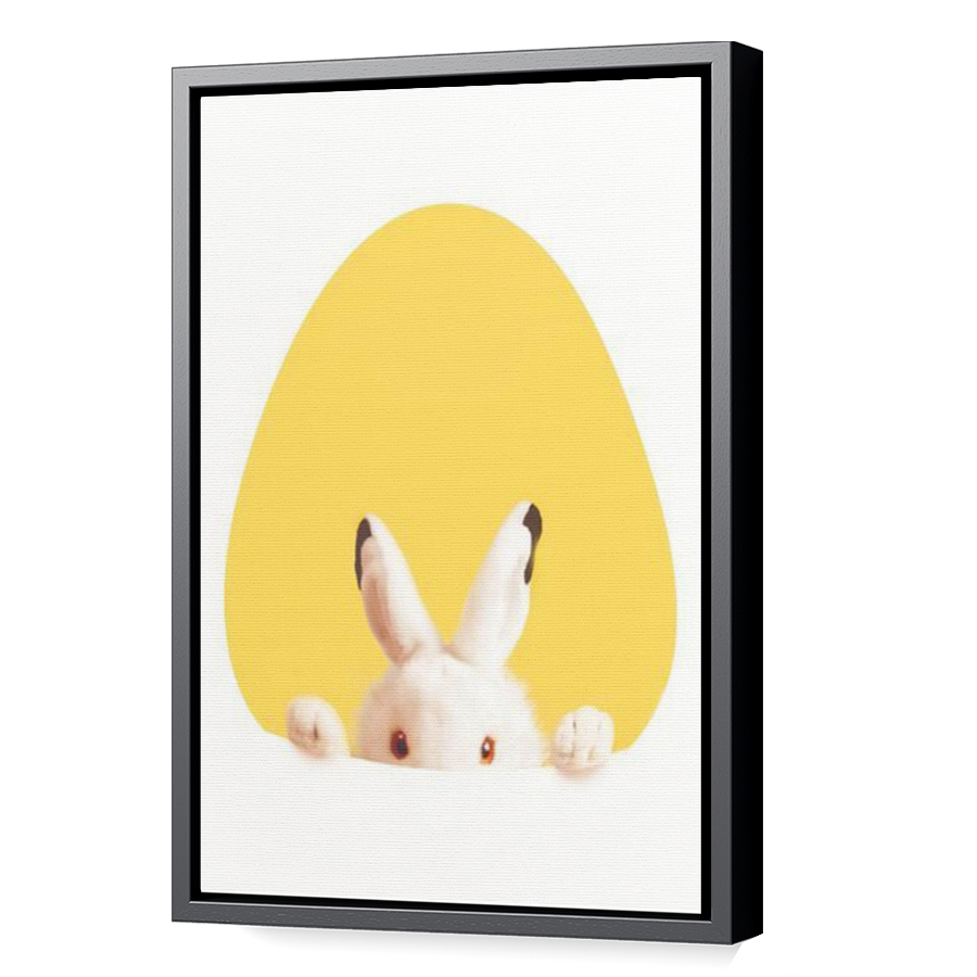 Thumbnail for Canvas - Black Floating Frame