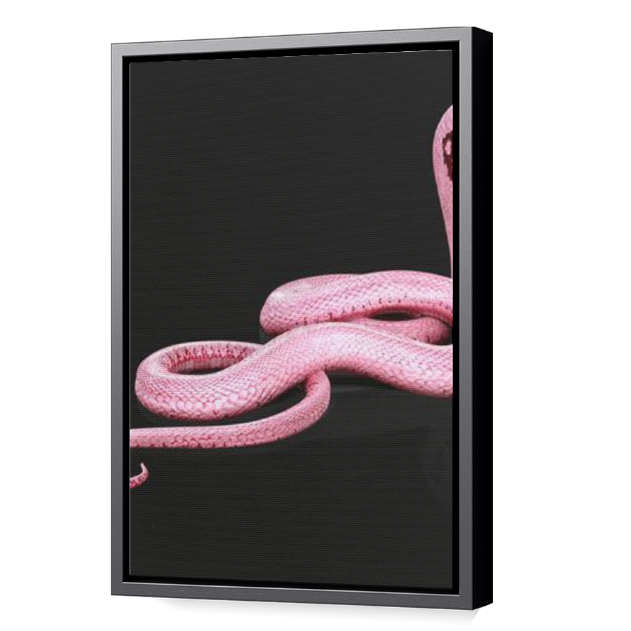 Thumbnail for Canvas - Black Floating Frame