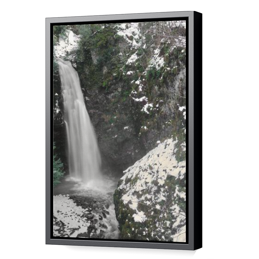 Thumbnail for Canvas - Black Floating Frame