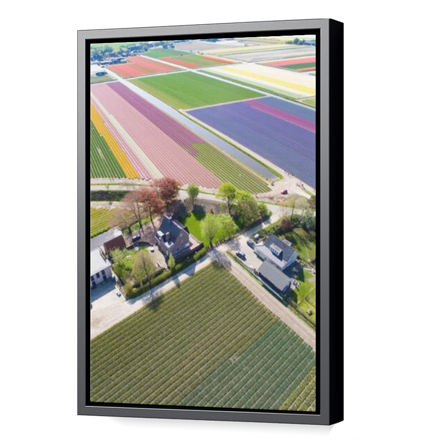 Thumbnail for Canvas - Black Floating Frame