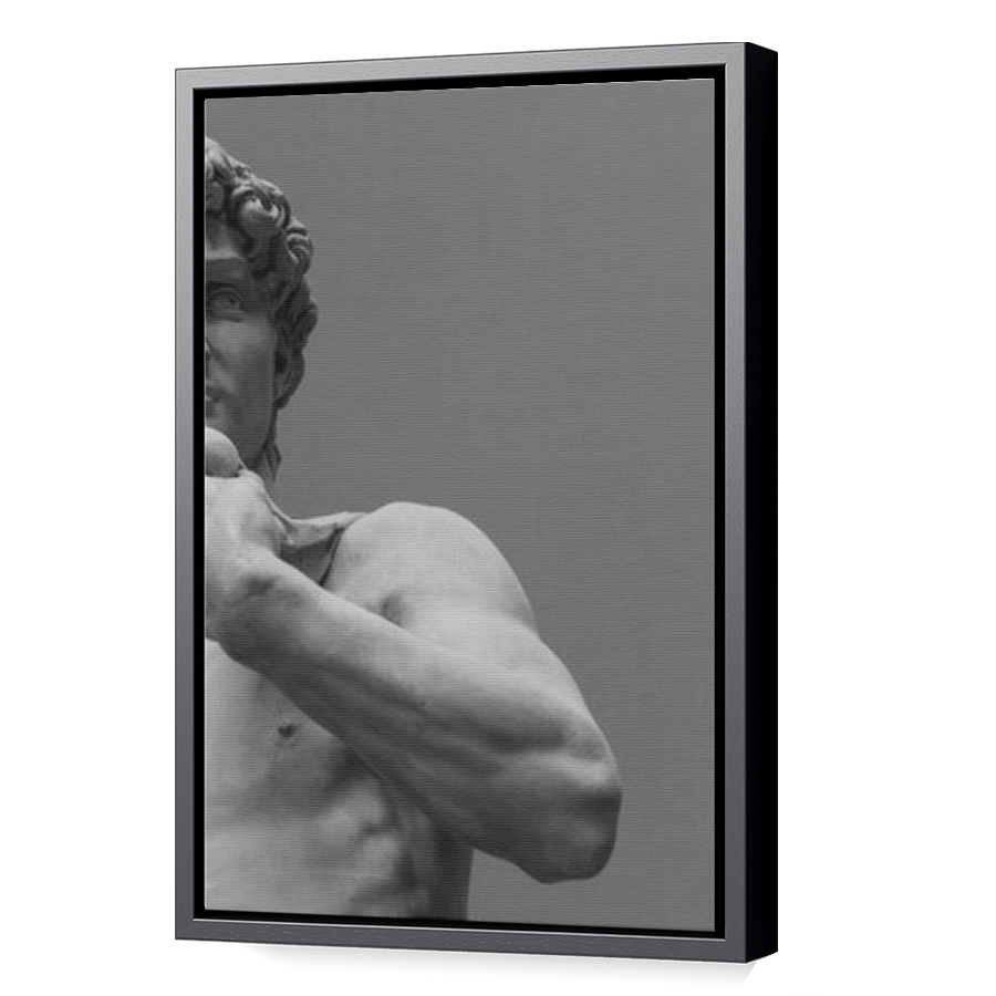 Thumbnail for Canvas - Black Floating Frame