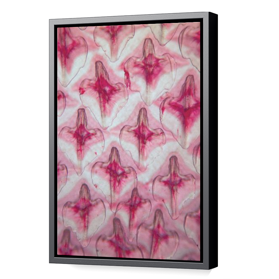 Thumbnail for Canvas - Black Floating Frame