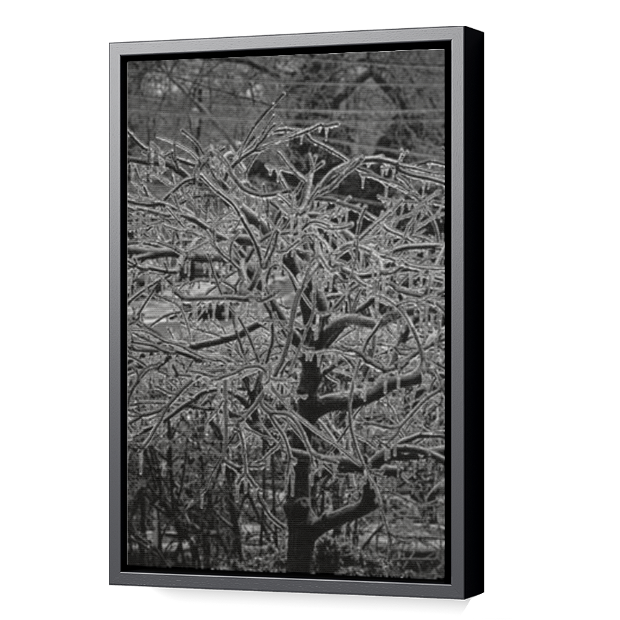 Thumbnail for Canvas - Black Floating Frame
