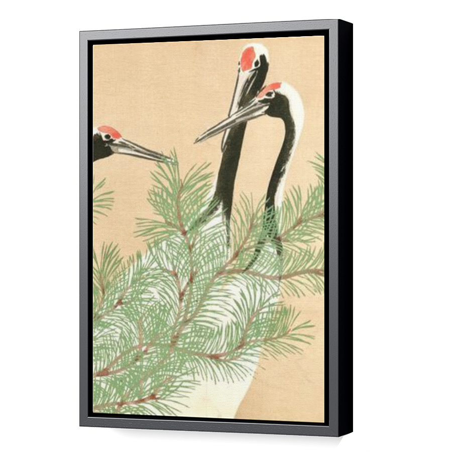 Thumbnail for Canvas - Black Floating Frame