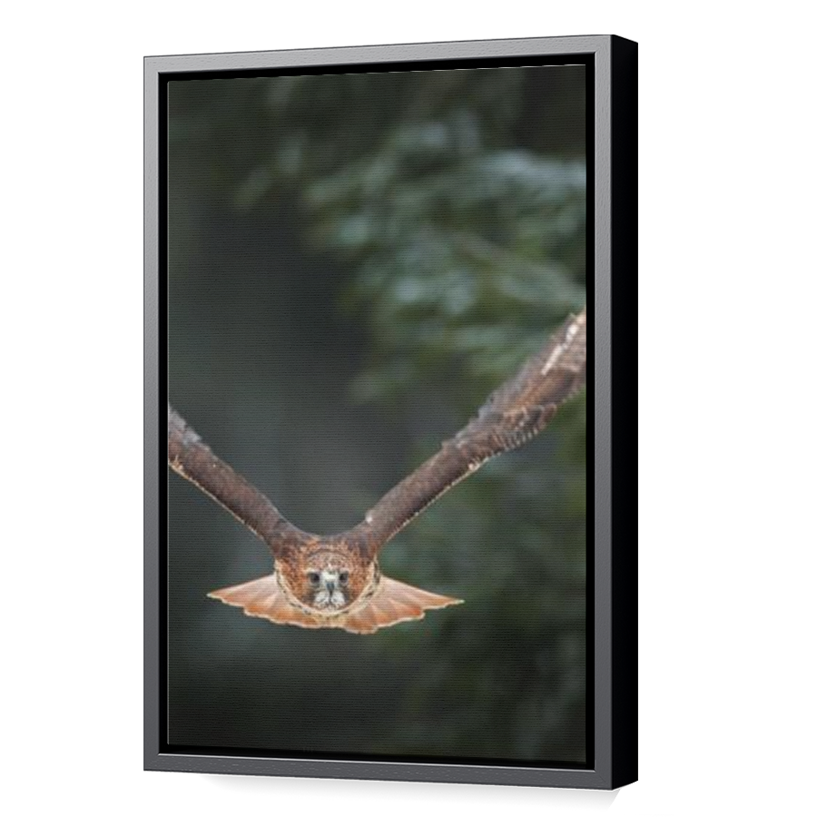Thumbnail for Canvas - Black Floating Frame