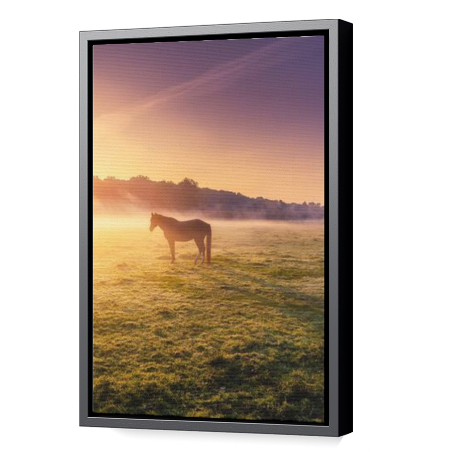 Thumbnail for Canvas - Black Floating Frame