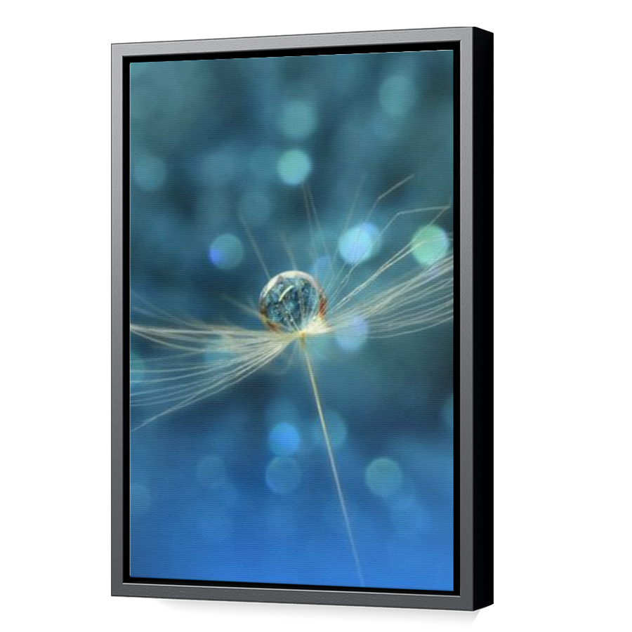 Thumbnail for Canvas - Black Floating Frame