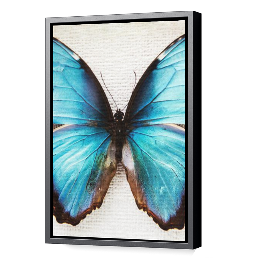 Thumbnail for Canvas - Black Floating Frame