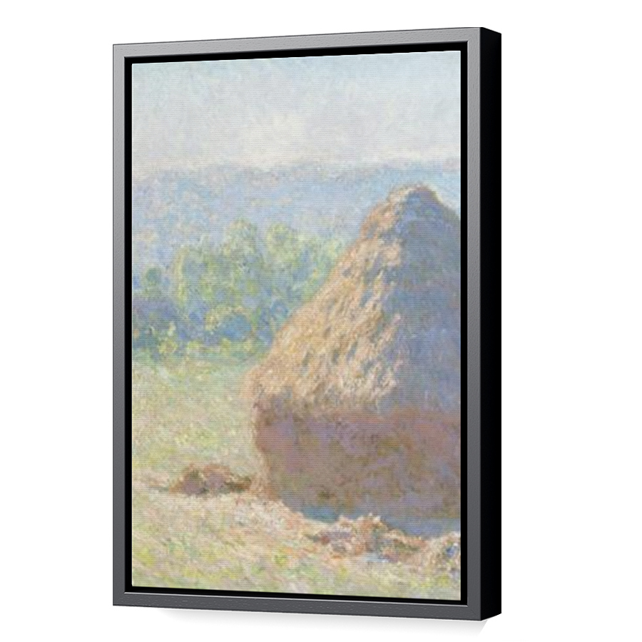 Thumbnail for Canvas - Black Floating Frame