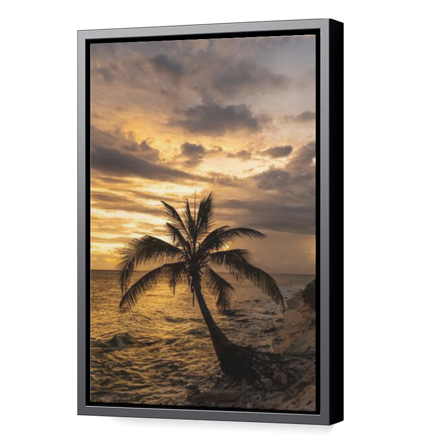 Thumbnail for Canvas - Black Floating Frame