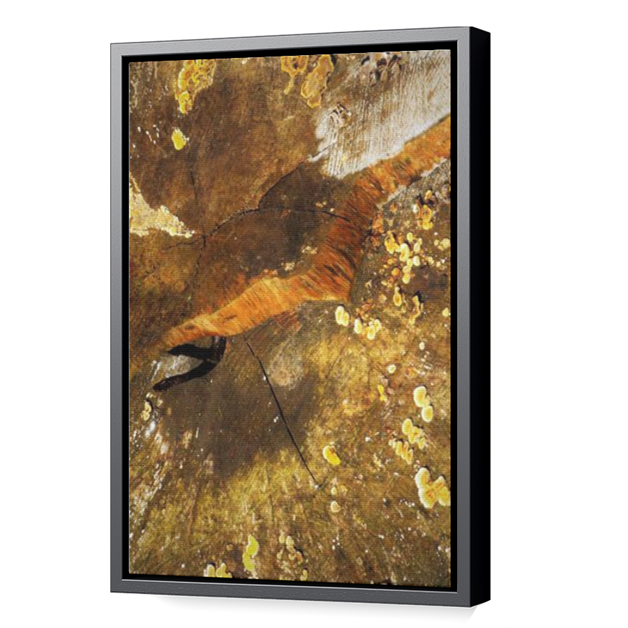Thumbnail for Canvas - Black Floating Frame