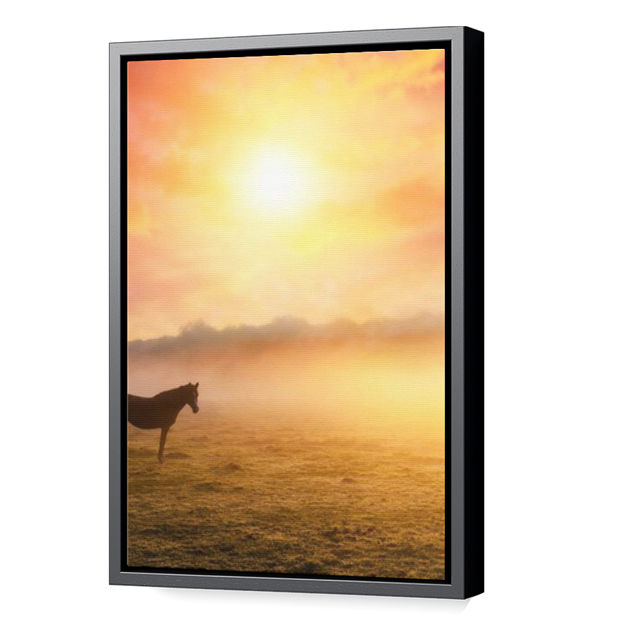 Thumbnail for Canvas - Black Floating Frame