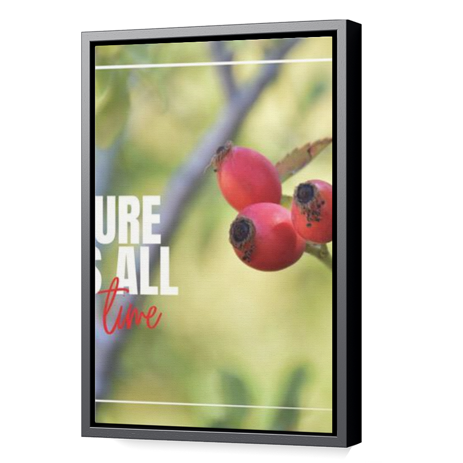 Thumbnail for Canvas - Black Floating Frame