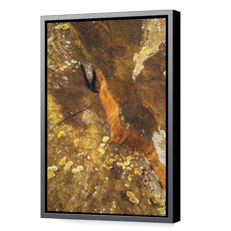 Thumbnail for Canvas - Black Floating Frame