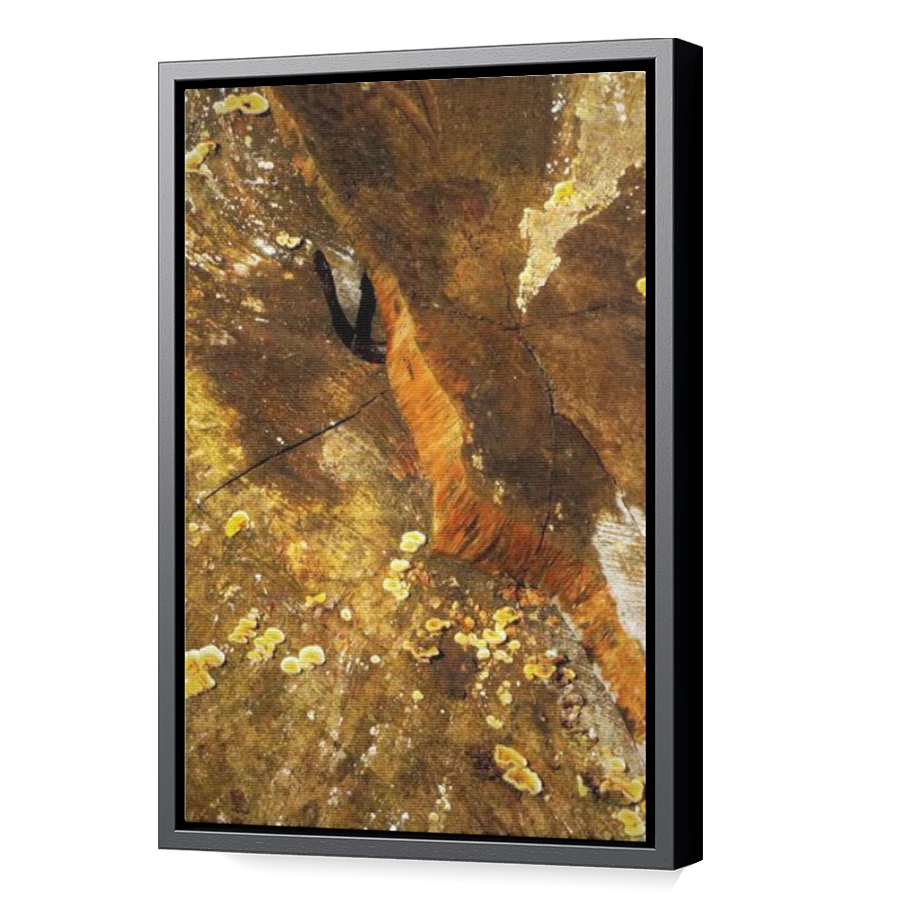 Thumbnail for Canvas - Black Floating Frame