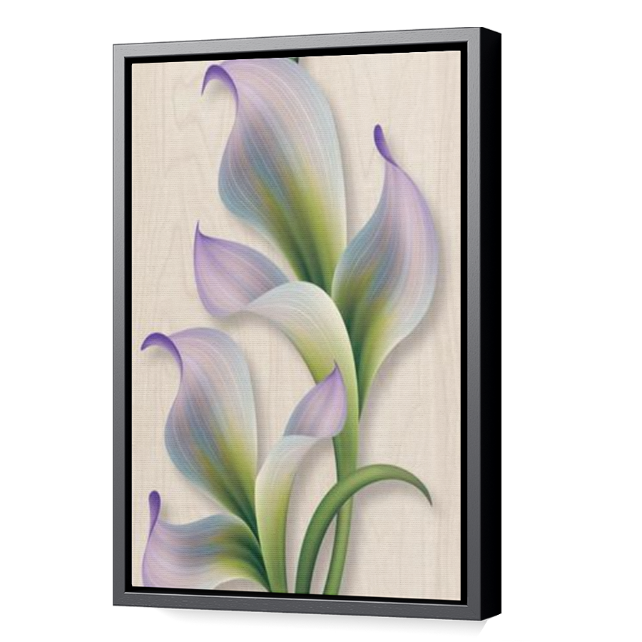 Thumbnail for Canvas - Black Floating Frame