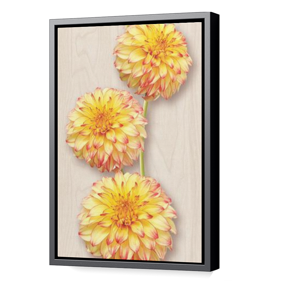Thumbnail for Canvas - Black Floating Frame