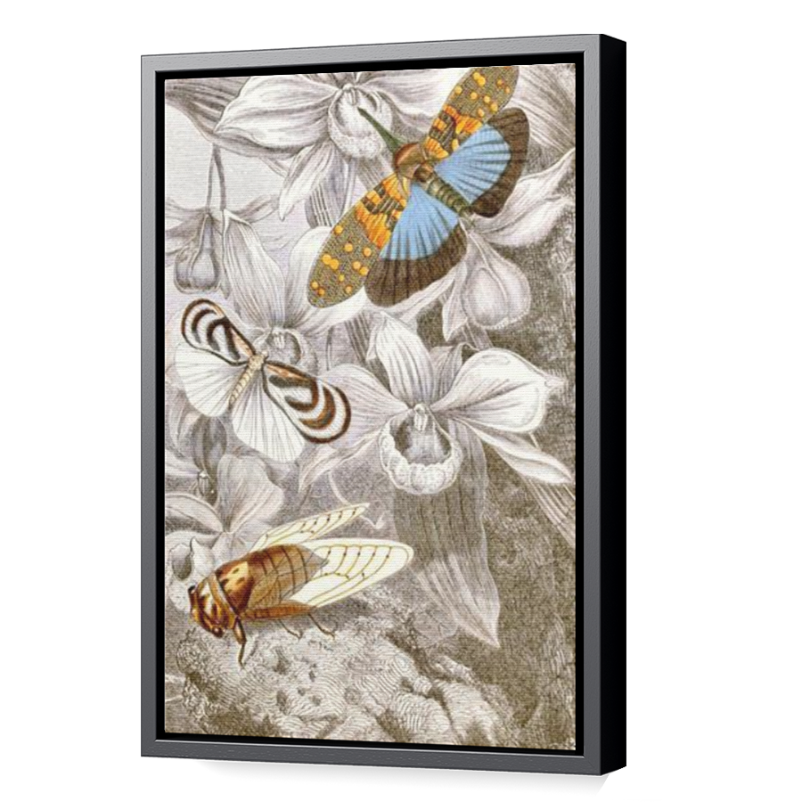 Thumbnail for Canvas - Black Floating Frame