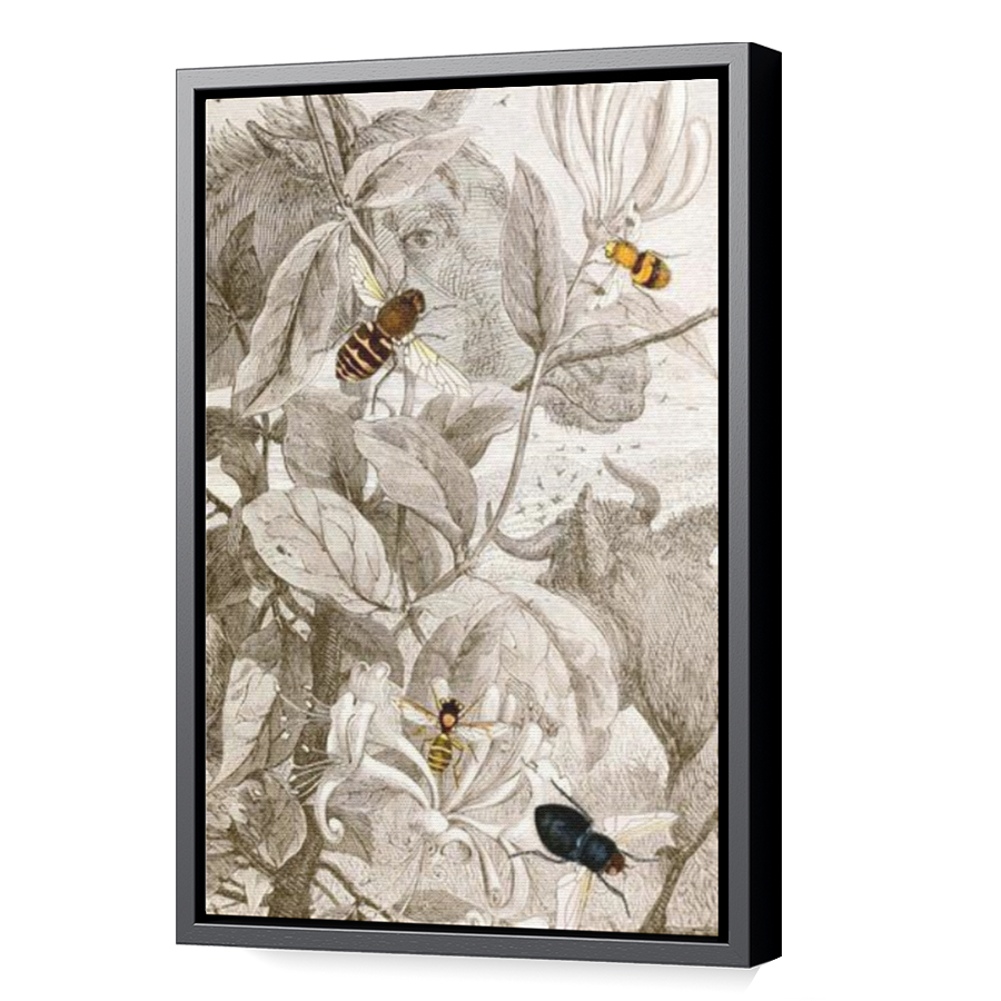 Thumbnail for Canvas - Black Floating Frame