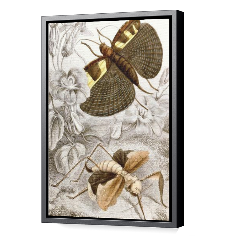 Thumbnail for Canvas - Black Floating Frame