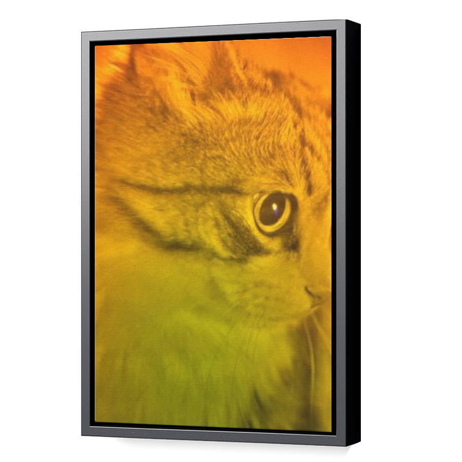 Thumbnail for Canvas - Black Floating Frame