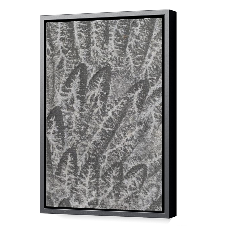 Thumbnail for Canvas - Black Floating Frame