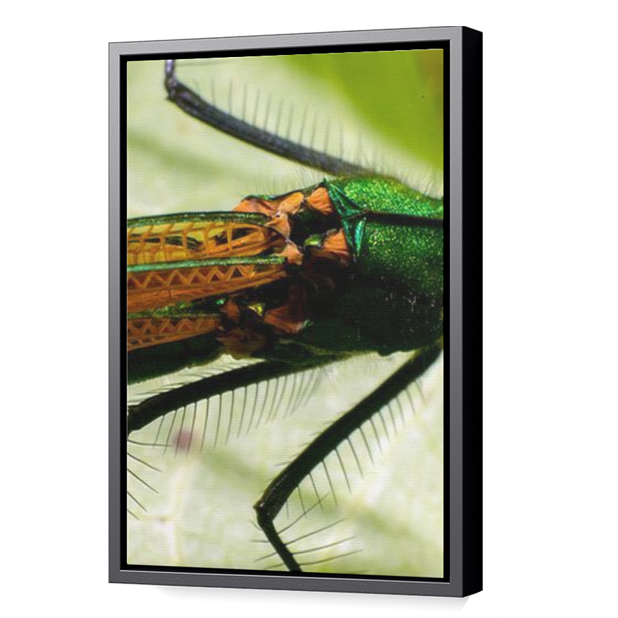 Thumbnail for Canvas - Black Floating Frame